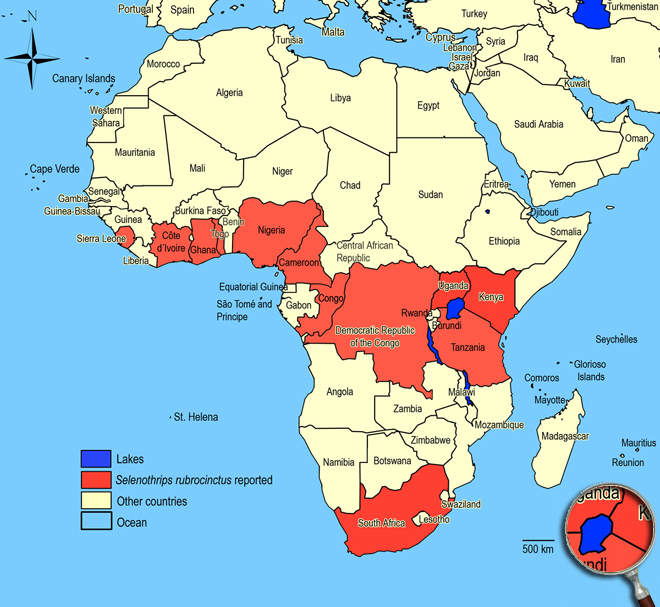 Distibution Map Africa